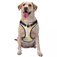 Dog Harness Pet Dog Chest Harness Vest Puppy Harness Outdoor Sports Pet Harness Traction Rope Suitable for Small and Medium Dogs