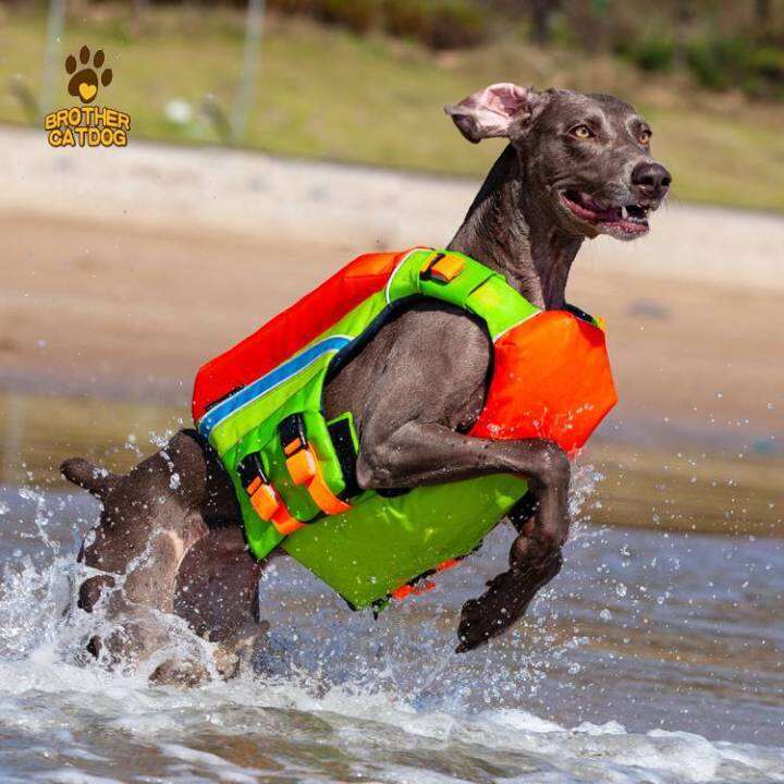 2023 Pet Personal flotation device Summer cooling heatstroke prevention