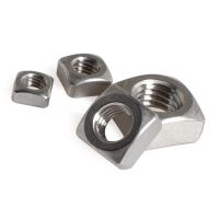 [HOT JIAZZAQQMGW 555] Nut เมตริกเกลียวถั่ว Fastener 304สแตนเลส M3 M4 M5 M6 M8 M10 M12