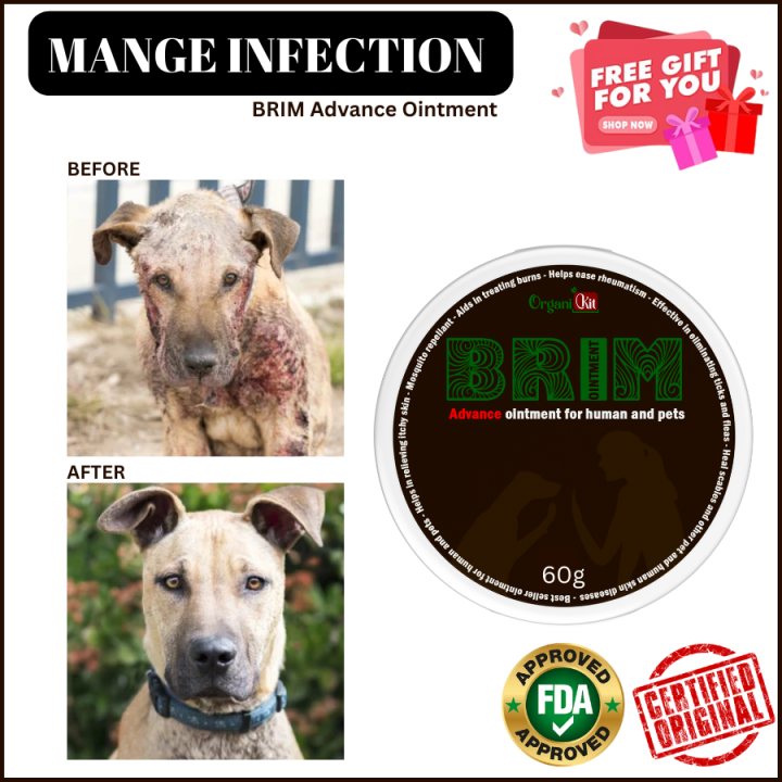 🐾Safe and effective🐾 BRIM Advance Ointment for human and Pets Nontoxic