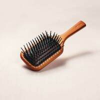 Paddle Brush