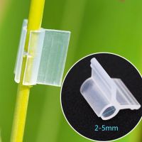 200pcs 3mm Caliber Plant Grafting Clips Vegetables Tomato Vine Stalks Grow Support Fixing Clips