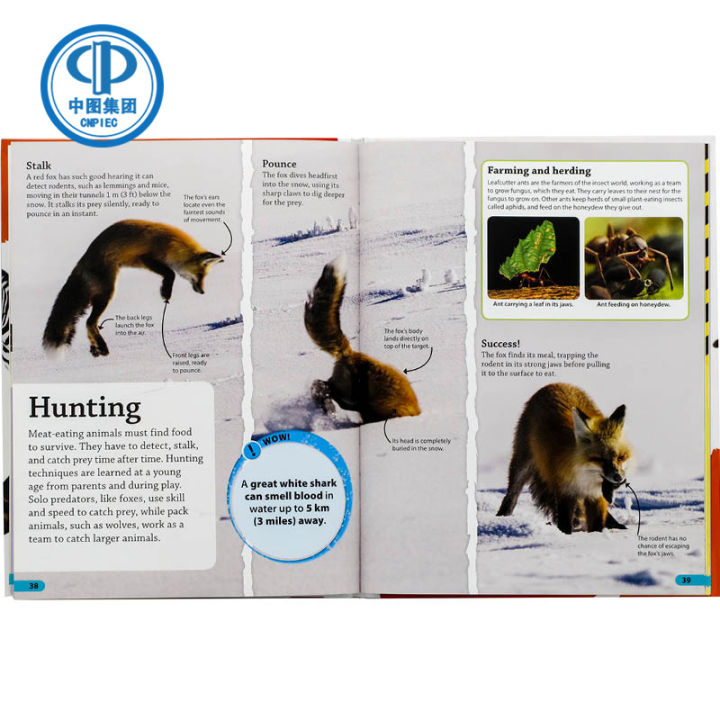 dk-find-out-animals-popular-science-encyclopedia-english-reading-materials-of-picture-books-for-primary-schools-aged-6-12