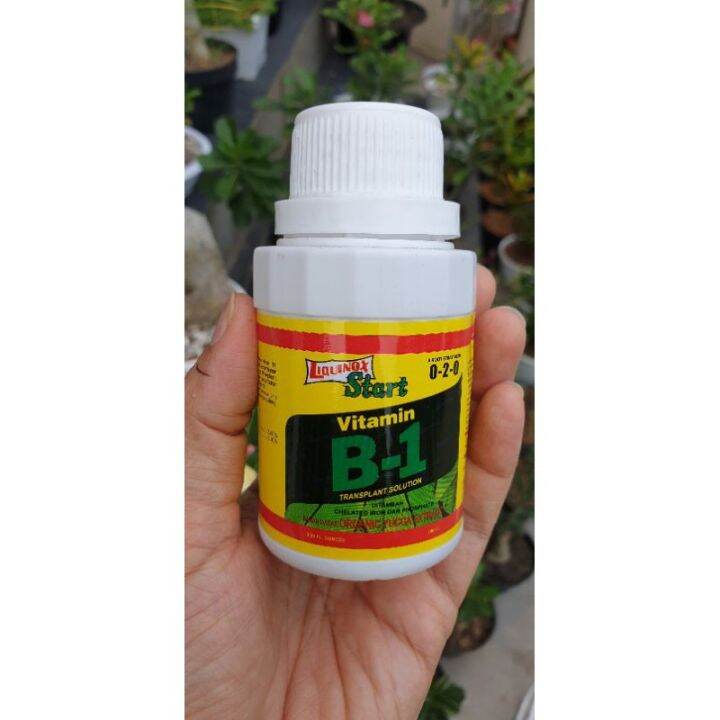 Vitamin B1 Cair Vitani Liquinox Start B1 Plus Pupuk Untuk Perangsang ...