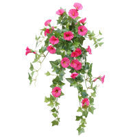 Artificial Bloom Simulation Morning Glory Flower Manma Petunia Artificial Orchid Vine Petuni Orchid Petunia Home Wedding Decor