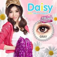 Wink Daisy gray สายตาปกติ 00 รหัสสินค้า 045