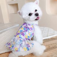 Small Dog Dress Cat Skirt Summer Clothes Chihuahua Yorkshire Terrier Shih Tzu Maltese Poodle Bichon Apparel Puppy Pet Clothing Dresses