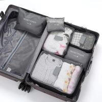 FN946N Travel Clothes Storage Waterproof Bag Portable Luggage Organizer Pouch Packing Cube Multifunctional Net Bag Travelling