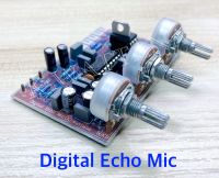 วงจร ดิจิตอล ไมค์ เอคโคว Digital Mic Echo จำนวน1แผ่น