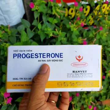 Tìm hiểu về progesterone hanvet và vai trò quan trọng của nó