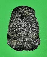 #145 อุลกมณี สะเก็ดดาวไทย (Tektite) รูปแบบแผ่น เครื่องรางจากฟ้า เนื้อโปรงแสง สีน้ำตาลอำพัน สวยมากๆ แผ่นใหญ่