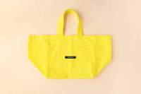 TWENTYFIFTH [003Light Green] Big Square Tote