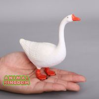 Animal Kingdom - โมเดล Gooses ห่าน ขาว ขนาด 12.00 CM (จากสงขลา)