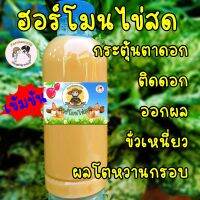 ฮอร์โมนไข่ เร่งการเจริญเติบโต เร่งติดดอก ออกผล รสหวาน ผลโต ขั่วเหนี่ยว(250ml)แถมวิธีใช้