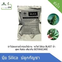 [สินค้าพร้อมจัดส่ง]⭐⭐silica blazt สำหรับทำใบ ทำดอก สูตร botanicare  (แบบผงไปผสมน้ำเอง)[สินค้าใหม่]จัดส่งฟรีมีบริการเก็บเงินปลายทาง⭐⭐