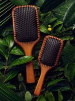 AVEDA Paddle Brush แปรงหวีผม