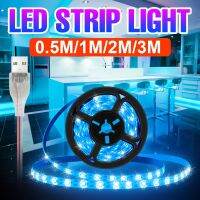 LED Strip Light Flexible Ribbon BackLight Diode Tape USB Neon Night Lamp Waterproof Bulb 30 60 120 180 Leds Room TV Decoration LED Strip Lighting