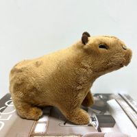 Capybara Boneka Hewan Mewan Mewah Simulasi Boneka Lembut Fluffty Kehidupan Nyata Boneka Capybara Mainan Anak-Anak Hadiah Natal Peluche 18ซม.