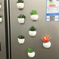 ✁ Artificial Green Magnets PotSucculent Plants Refrigerator Magnets Removable Plastic No Scratch Whiteboard Magnets Kitchen Decor