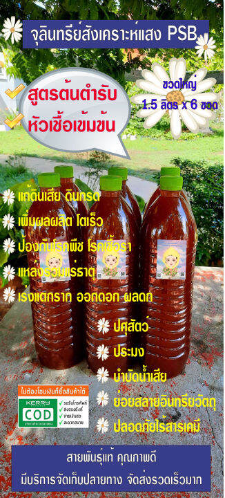 หัวเชื้อจุลินทรีย์จาวปลวก-ขนาด-1-5-ลิตร-ขวดใหญ่-6-ขวด-เข้มข้น-ส่งฟรีเคอรี่-จุลินทรีย์ที่ดี-ป้องกัน-กำจัดโรคเชื้อราในพืช