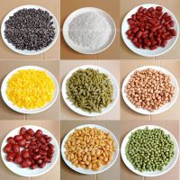 40g Simulation Whole Grains DECOR  Plastic Grains Ornament Coffee Beans Artificial Rice FAKE Raisin Model Home mini food  SIMUL