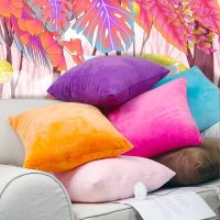 [Heimi Department Store] Super Soft ผ้ากำมะหยี่โซฟา CoverThrow หมอน35x4 5/40x6 0/45x4 5/50x5 0/55x5 5/60x60CM