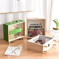 Wood Glass Old-fashioned Piggy Bank Simplicity Nordic Creative Container Portable Ins Home Storage Desk Decoration Piggy Bank