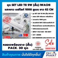 IWACHI หลอดไฟนีออนพร้อมราง LED T8 9 W ชุดหลอดไฟพร้อมราง LED โคมไฟ LED หลอดไฟ LED ฟลูเซ็ท LED โคมไฟสำเร็จรูป T8 9 W (ขาบิดล็อก) แสงสีขาว (DAYLIGHT) (แพ็ค 30 ชุด)