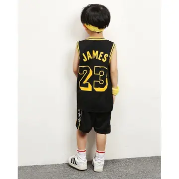 Lebron James Lakers - Best Price in Singapore - Oct 2023