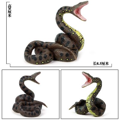 Simulation model of snake boa constrictors python cobra snake amphibious reptiles model toys furnishing articles