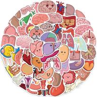 10/65Pcs Cartoon Human Body Organ Stickers Waterproof Sticker Anatomy Map Decals for Water Bottle Laptop Luggage Phone Kids Toys Stickers