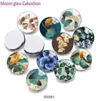 Ginkgo Free Shipping Round Photo Resin Glass Cabochon  Flat Back Making Findings  S0261g Beads