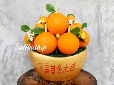 ฟรีค่าจัดส่ง l ส้ม ส้มประดิษฐ์ ส้มปลอม กระถางต้นส้ม กระถางส้มประดิษฐ์ กระถางส้มปลอม ผลไม้มงคล ผลไม้มงคลประดิษฐ์ ปรับฮวงจุ้ย
