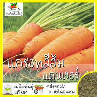 เมล็ดพันธุ์ แครอท สีส้ม แดนเวอร์ 1000 เมล็ด Danver Carrot Seed เมล็ดพันธุ์แท้ นำเข้าจากต่างประเทศ ปลูกผัก สวนครัว ถูกดี