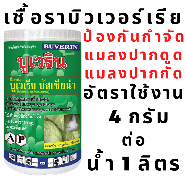 เชื้อราขาว-เชื้อบิวเวอร์เรีย-ป้องกันกำจัด-แมลงปากดูด-แมลงปากกัด-สปอร์ผงพร้อมใช้งาน-ออร์แกนิค-บูเวริน-บูเวเรีย-บัสเซียน่า-beauveria