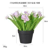 【HOT】 Cross-border home desktop fake flower plastic frosted black potted plant spray-painted Phalaenopsis mini simulation