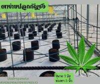 ตาข่ายปลูกกัญชง ตาข่ายสีดำHDPE ชนิดทนต่อแรงดึงสูงสุด ป้องกันยูวี UV พร้อมร้อยเชือกขอบใช้งานได้ทันที