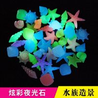 ✻ glow stones aquarium conch shells diy character place fluorescent stone garden decoration