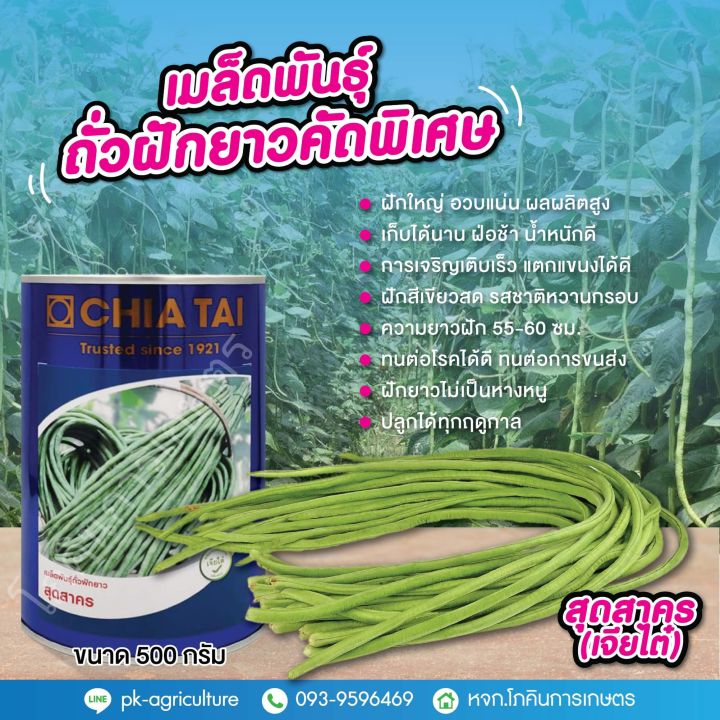 เมล็ดพันธุ์ถั่วฝักยาว-สุดสาคร-เจียไต๋-ขนาด-500-กรัม