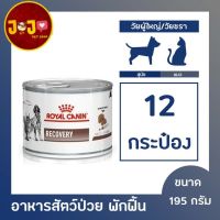 ส่งฟรีทุกชิ้นทั่วไทย  Royal Canin Recovery Cats Dogs Canned 195 กรัม x 12 กระป๋อง