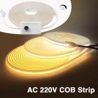 Dimmerable COB LED Strip AC 220V Waterproof 288leds/m Outdoor Garden Decor High Bright Flexible Ribbon Tape FCOB Light LED Strip Lighting