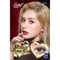 [สายละมุน]Mini Honeybee Luxzylens คอนแทคเลนส์เกาหลี คอนแทคเลนส์ บิ๊กอาย bigeyes contactlens คอนแทคสายตา คอนแทคเลนส์สี