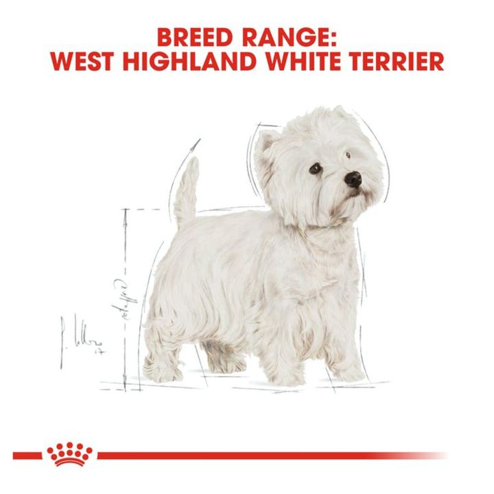 royal-canin-west-highland-white-terrier-1-5kg-อาหารสุนัขโต-พันธุ์-เวสท์-ไฮแลนด์-ไวท์-เทอร์เรีย