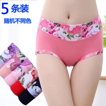 Womens Panties Seamless Comfortable Low Waist Panties Sexy Briefs