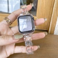 Transparent Band 44mm 40 41 45mm 654 on Iwatch 38mm 42mm Watchband