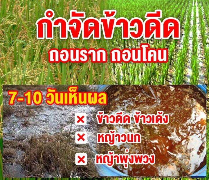 ส่งฟรี-ซื้อ2แถม2-10ดาวไบโอ-2ซอง-แถมฟรี-10ดาวดูโอ้-2ซอง-10ดาวจุลินทรีย์-ไบโอจุลินทรีย์-หัวเชื้อจุลินทรีย์-สูตรเข้มข้น-สายพันธุ์ใหม่