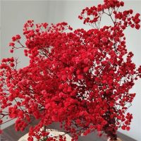 Dried Babys Breath Flower Bouquet2500 Red FlowersNatural Gypsophila Branches for Wedding Home Party DecorMother Friends Gift