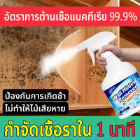 【เชื้อราหายแล้ว】นำเข้าจากญี่ปุ่น น้ำยาฆ่าเชื้อรา 500ml บอกลากับผนังและเฟอร์นิเจอร์ที่เป็นเชื้อรา น้ำยากำจัดเชื้อรา ขวด กำจัดเชื้อรา สเปรย์กำจัดเชื้อรา น้ำยาขจัดคราบผนัง ฆ่าเชื้อราตู้ ยาฆ่าเชื้อรา สเปรย์กำจัดรา สเปรย์กันเชื้อรา น้ำยากันเชื้อรา น้ำยากำจัดรา