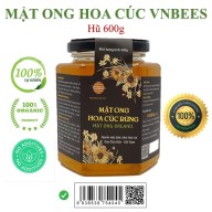 (Mật ong xuất khẩu) - Mật ong hoa Cúc rừng VNBEES - Mật ong Organic - Hũ 600g thumbnail
