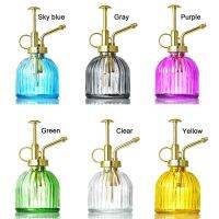 Plant sprayer, glass carafe, small watering can, transparent garden with golden top pump, reusable 200ML